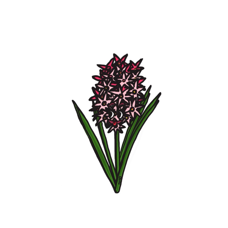 Handgetekende bloemenillustratie door Marretjes